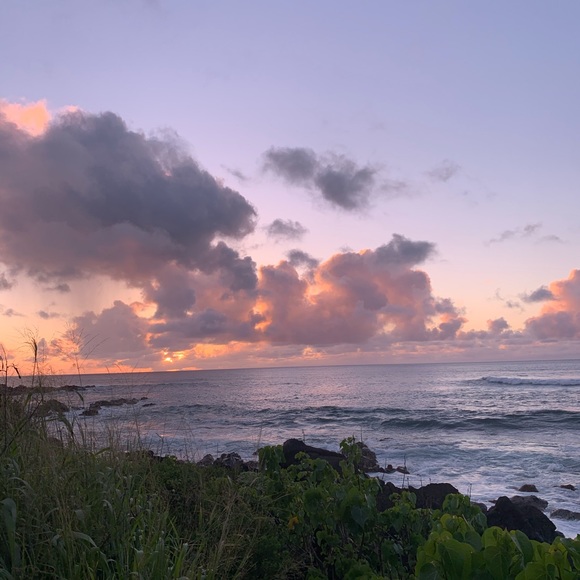 Meet your Posher, Ivy - Picture 7 of 10